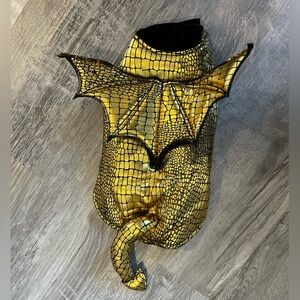 Gold Dragon Costume for Extra Small Dog or Cat